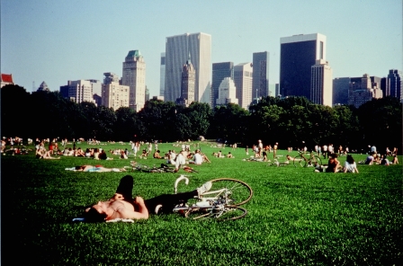 セントラル・パーク Central Park  （16mm）